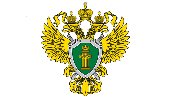 Прокуратура Ставропольского района Самарской области разъясняет: Противодействие преступности несовершеннолетних